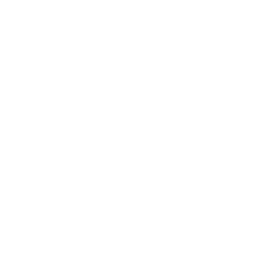 Steuerberater Niklas Bienhüls